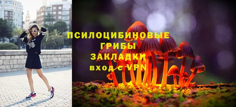 Псилоцибиновые грибы MAGIC MUSHROOMS  магазин  наркотиков  Крымск 